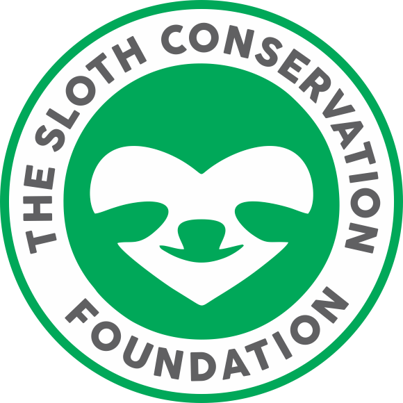 The Sloth Conservation Foundation